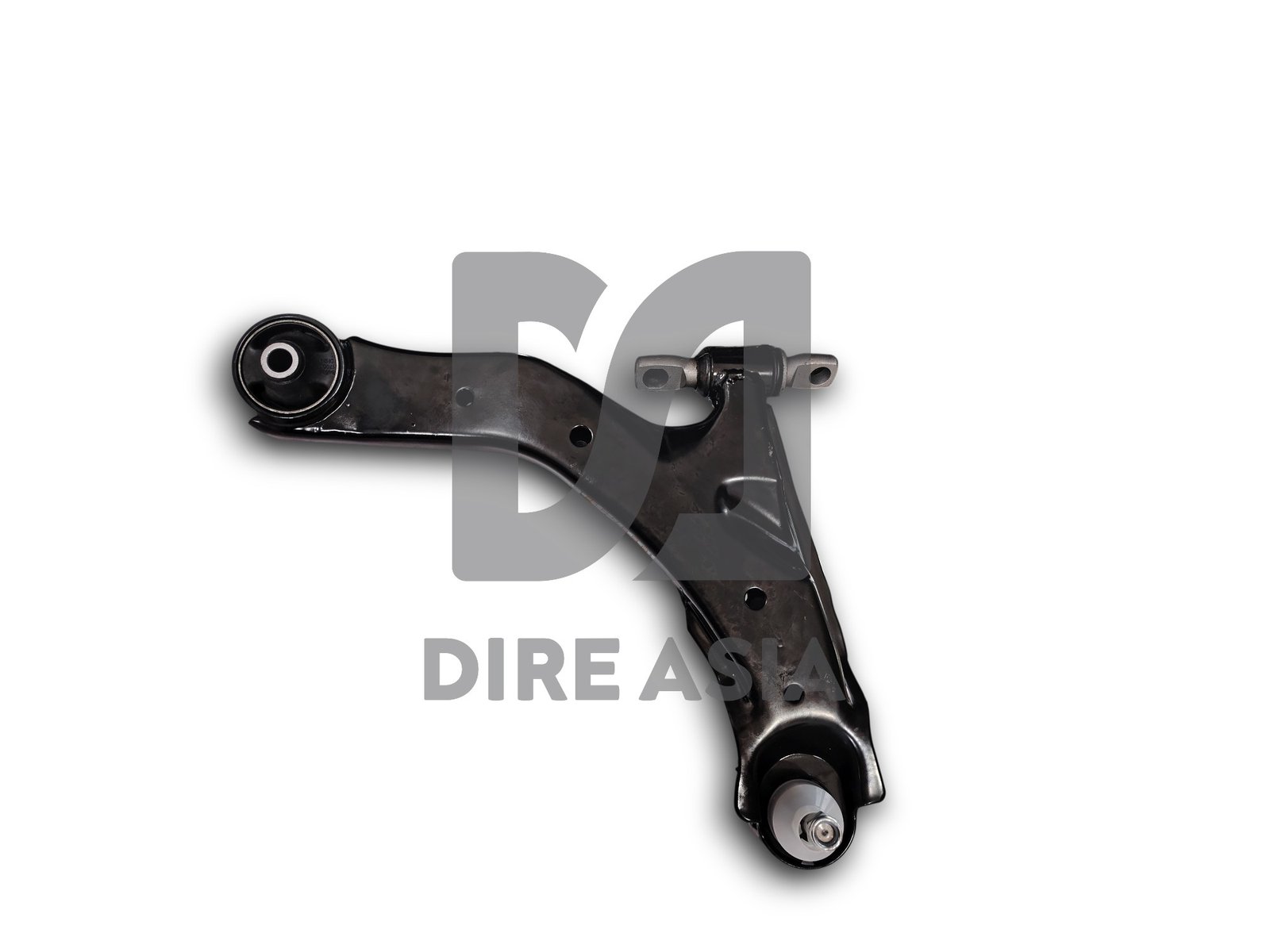 MESETA DEL RH CERATO (1)